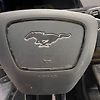 Airbag (Steering) - 2021 Ford Mustang Mach-E Premium