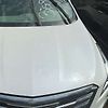 Hood/Bonnet - 2019 Cadillac XT5