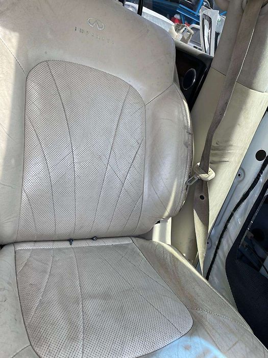 Front Seat (LHS) - 2013 Infiniti QX56