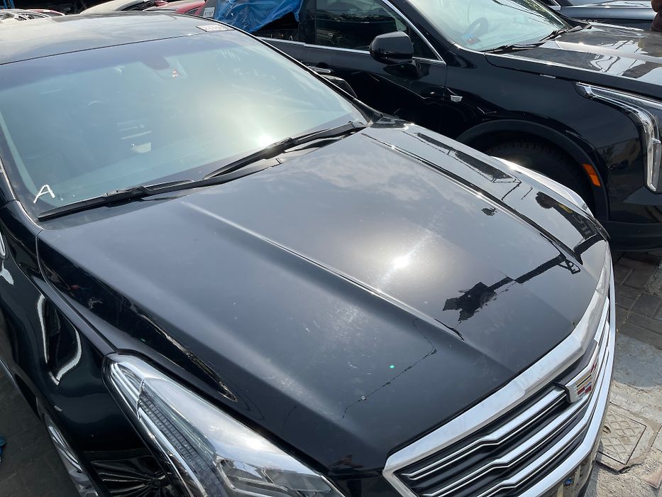 Hood/Bonnet - 2019 Cadillac XTS