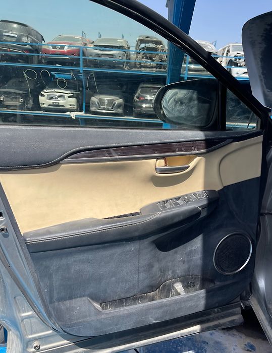 Door (LHF) - 2020 Lexus NX300