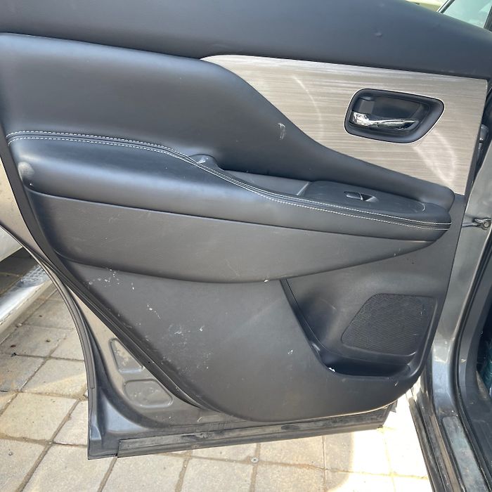 Door (LHB) - 2015 Nissan Murano