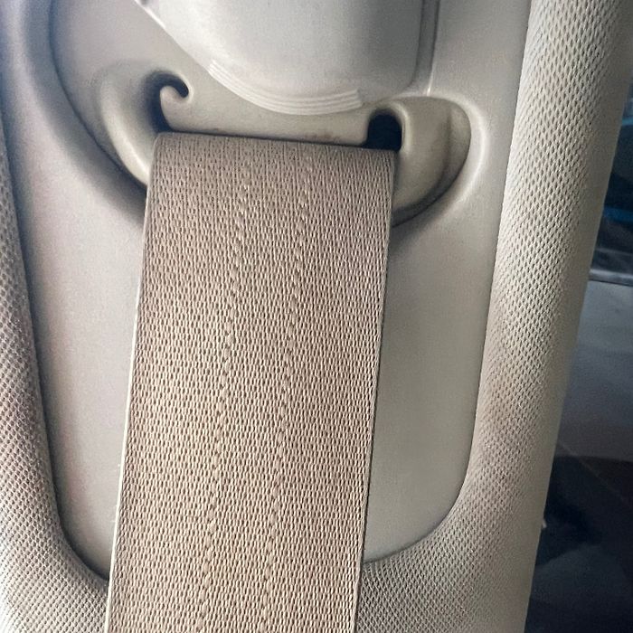 Seat Belt (RHB) - 2014 Infiniti QX80 SUV