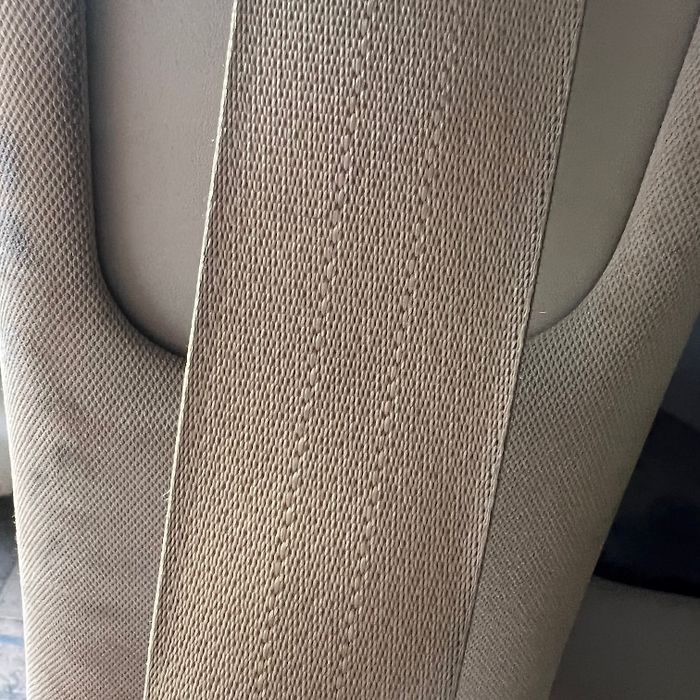 Seat Belt (RHB) - 2014 Infiniti QX80 SUV