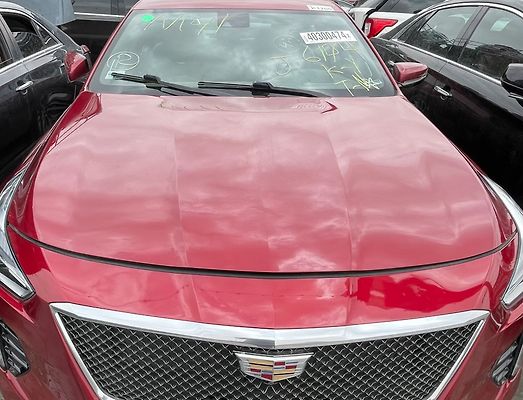 Hood/Bonnet - 2019 Cadillac CT6 3.0TT Sport AWD