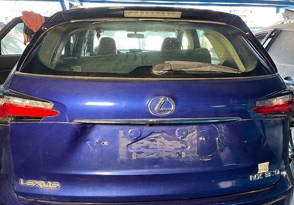 Trunk/hatch/tailgate - 2022 Lexus NX300