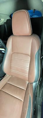 Front Seat (LHS) - 2022 Lexus NX300