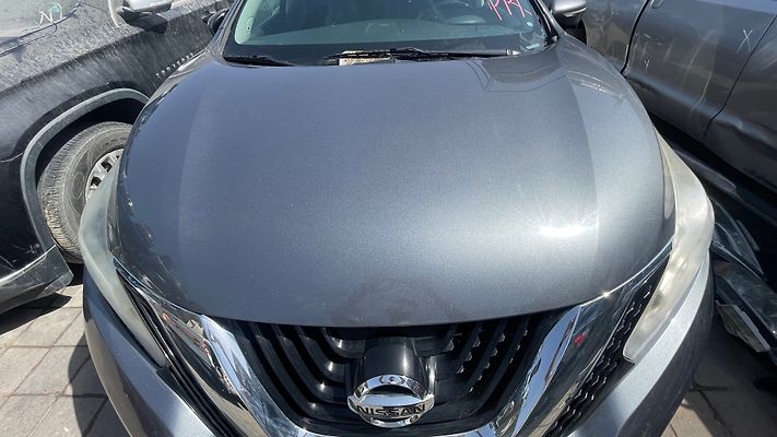 Hood/Bonnet - 2015 Nissan Murano